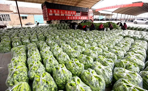 我是湖南長沙蔬菜批發(fā)市場，買多少錢的農(nóng)藥殘留檢測儀合適？